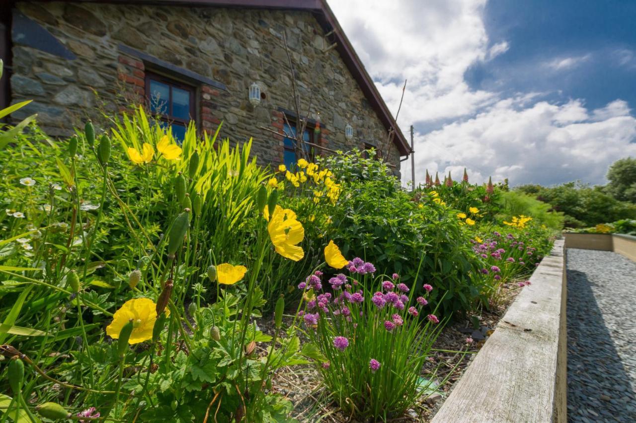 Tyn Rhos Country House Caernarfon Eksteriør bilde
